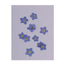 20x Pressed/Dried Flowers Forget me not Scrapbooking Art Craft DIY Materials