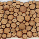 100x Slices Round Disc Tree Natural Pine Wood Chips Wood Bark Circle Decor Craft