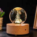 Wooden Round Crystal Ball Base Holder Crafts Ornaments Solid Wood Stand