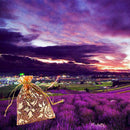 Real Dry Lavender Organic Dried Flowers Sachets Bud Bloom Bag Scents Fragra W6V6