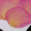 12pcs Real Pressed Dried Flower Rose Petals Scrapbooking Embellishments Pink
