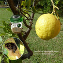 1 Pcs Wasp Trap Catcher Life Outdoor Solar Powered Trap With Ultraviolet LE