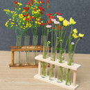 Wall Mounted Hanging Planter Test Tube Flower Vase Tabletop Glass Wood for Home