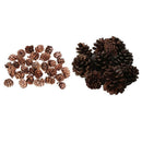 40pcs Mini Natural Dried Pine Cones for Xmas Tree Hanging Decors