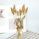 20PCS Bunny Tails Lagurus Ovatus Grass Dried Flower For Home Wedding DIY Decor