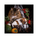 5D Cats Dogs Diamond Painting Embroidery DIY Cross Stitch Craft Home Decor