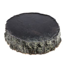 Multi-functional Food Bowl Reptiles Turtle Tortoise  Play Rest Type 2