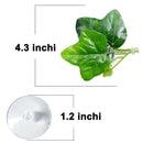 2 Pack Betta Fish Leaf Pad - Improves Betta'S Health By Simulating The NaturE4I5