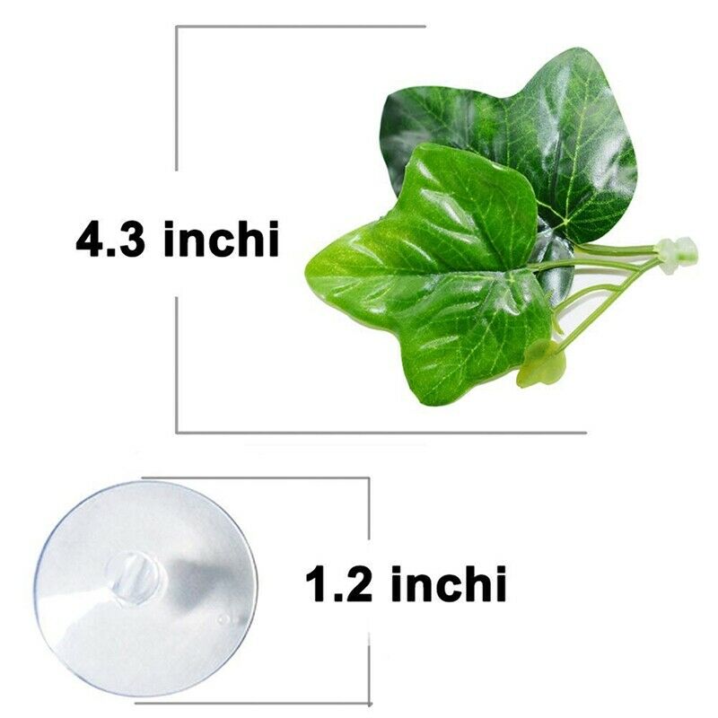 2 Pack Betta Fish Leaf Pad - Improves Betta'S Health By Simulating The NaturE4I5