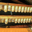 5pcs Beekeeping Double Row Queen Bee Device Set Artificial Beehive 63 Holes