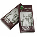 6pcs Charcoal Sticks Bar Sketch Art Drawing Sketching Oil Painting Willow & Case
