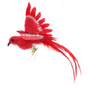 Artificial Red Bird w/ Long Tail Realistic Taxidermy Home Garden Decor 28cm