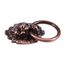 Dresser Drawer Cabinet Door Ring Lion Head Pull Handle Knob 10pcs Q9E6