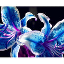 100X Mixed lily bulbs seeds planting lilium perfume flower garden d NTE â„–#