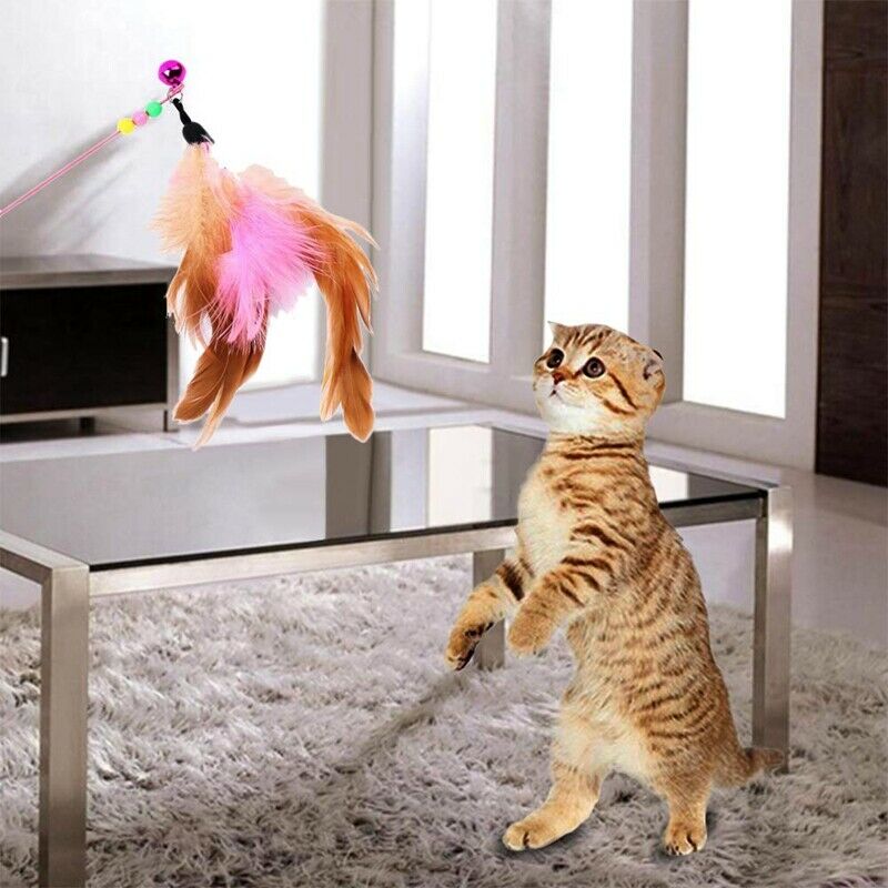 Kitten Toys Variety Pack, Cute Kitty Toys For Cats 20 Pieces - Cat Toys Set Q4R9