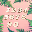 10pcs Rustic Wooden Digital Number DIY Craft Table Scatter Home Decoration