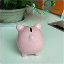 Ceramic Keepsake Piggy Bank, Pink R5G9