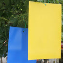 20PCS DOUBLE SIDED STICKY FLY TRAP WATERPROOF FLYING PLANT INSECT GLUE TRAPPER
