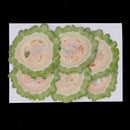 6x Dried Vegetable Bitter Gourd Slices Specimen for DIY Mobile Phone Case