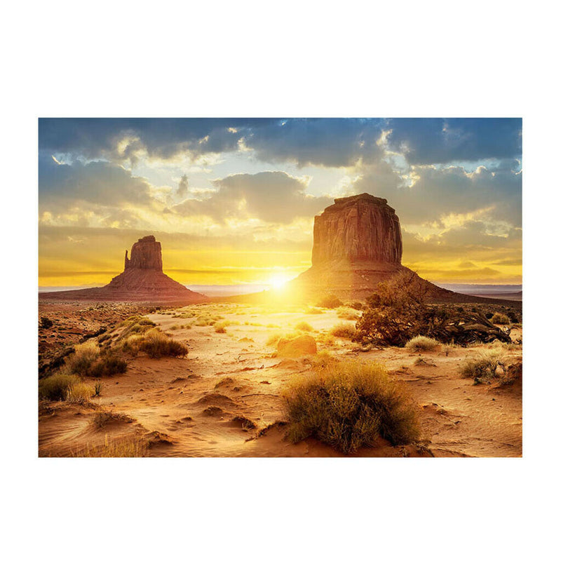 Aquarium   Tank Background Poster Desert Landscape Decor 61x41cm