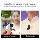 Lavalier Condenser Microphone Windproof Type-C Interface Gift With Usb Adapter