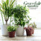 2 Pack Plant Support Cage Metal Rust Resistant Garden Plant Support Ring Pl