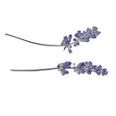 20x Pressed Dried Flowers Real Babysbreath Sage DIY Scrapbooking Arts Crafts