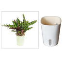 3-piece Self Watering Planter Flowers Pots W/