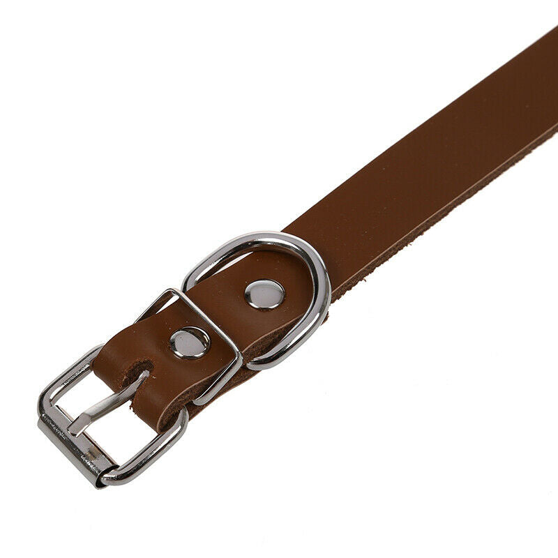 Leather collar Adjustable For Pet Dog Brown M