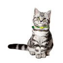 12x Pet Cat Kitten Collar Adjustable Safety Reflective Ring Necklace Strap