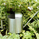 Mini Indoor Watering Can Stainles Steel Spout for Plant Flower Watering Garden