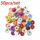 50pcs Wooden Buttons Sewing 2-holes Scrapbooking Button Crafts Flower Shape DIY