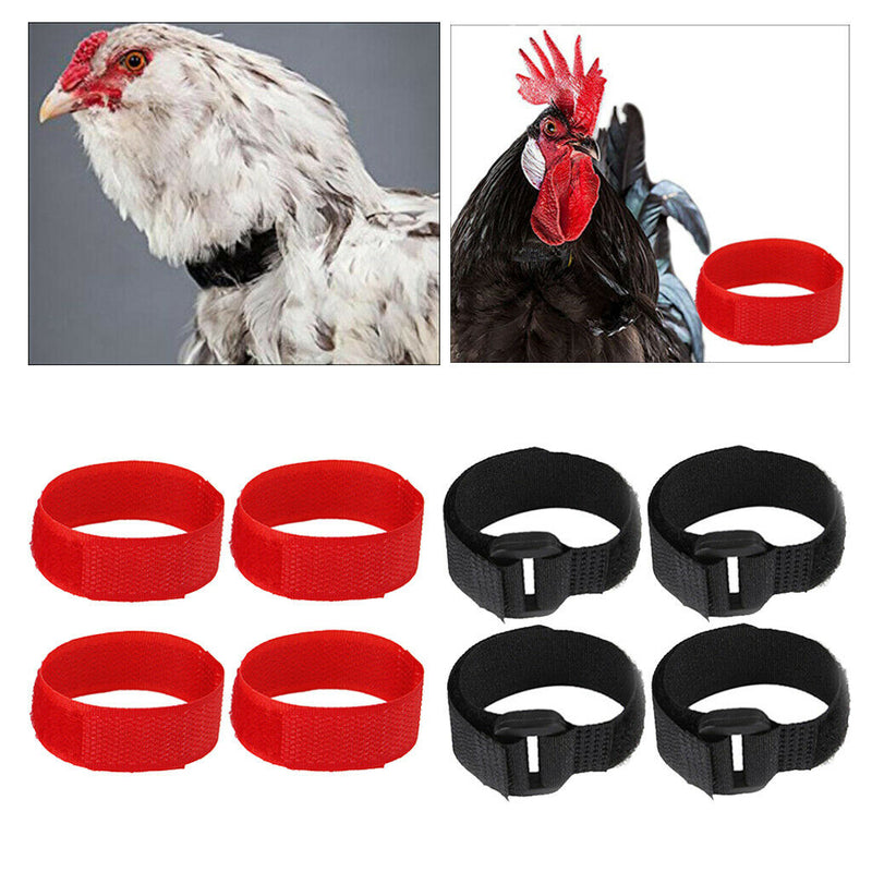 8pcs No Crow Collar for Roosters Chicken Belt Neckband Poultry Supplies