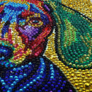 Full Special Shaped Crystal Diamond Rhinestones Diamond Embroidery Colorful