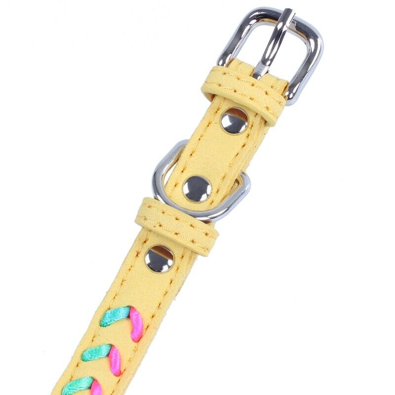 Braided Cool Stylish Braided Soft Padded Pet Collar Fits Small Medium