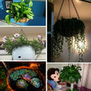 Flower Plant Pot Basket Planter Holder Hanging Chain Bonsai Hanging Flower Pot
