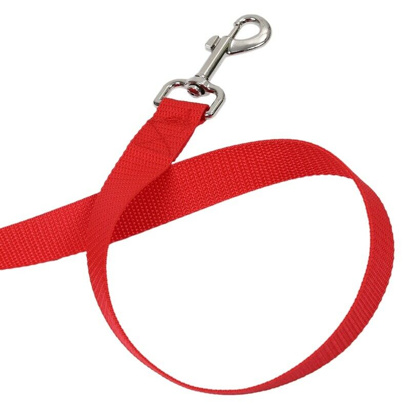 100ft 30.5 Meters Long Pet Dog Horse Training Leads Lunge Webbing Lead Rope