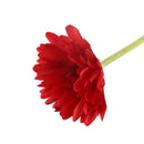 5 pieces of artificial flowers Gerbera Gaensebluemchen Red P6Y4