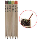 8pc Grow Pencil Sprouted Pencil Potted Plant Budding Parsley Thyme Basil-PerilOZ