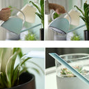Household Long Mouth Watering Pot Office Green Plant Potted Family Gardenin