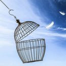 4 Pack 19.7 Inch Hanging Chain,Black, for Bird Feeders, Planters, Fixtures, C9S2