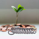 100x Round Commemorative Coin Display Capsules Case Collectible Box 21mm