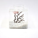 2x Aquarium Pebbles Gravel Stones Substrate Underwater Craft White & Yellow