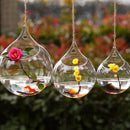 Hanging Glass Hydroponic Flowers Vase Garden Terrarium Container Holder