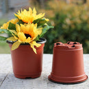 10 Pcs Mini Flower Pots Flowerpot Garden Unbreakable Plastic Nursery Pots