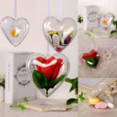 3Pcs 65/80/100mm DIY Clear Plastic Bath Bomb Mould Acrylic Mold Heart Shape New