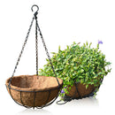 3xGarden Hanging Coconut Basket Planter Flower Pot