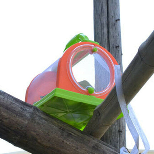 Bug Box Small Pet Observation Box Children'S Portable Plastic Bug Cage Box