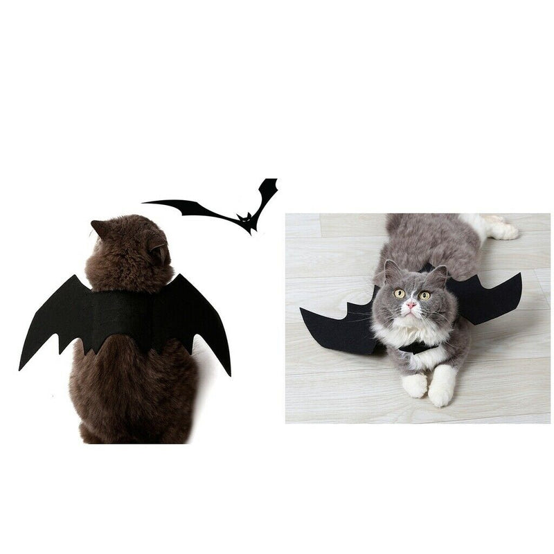 2x Pet Cat Bat Wings Kittens Black Bat Transfiguration Halloween Cat Costume