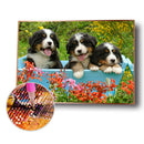 Dog Animal 5D DIY Diamond Painting Full Round Drill Wall Picture (HY035)